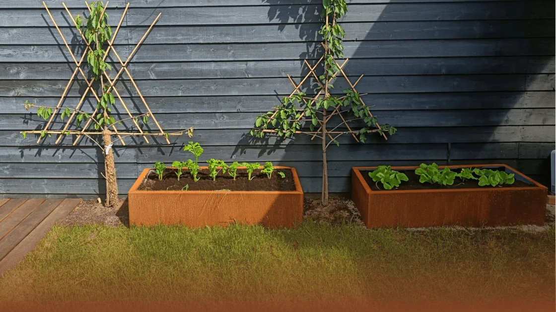Kāpēc corten tērauds ir ideāls dārzeņu dārzam